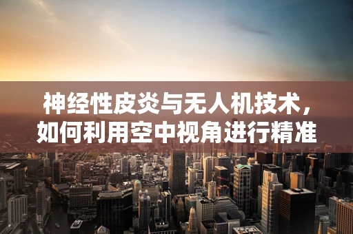 神经性皮炎与无人机技术，如何利用空中视角进行精准监测？