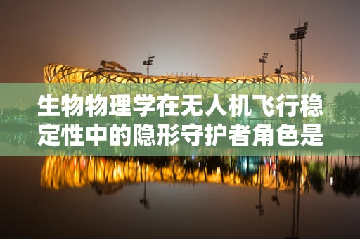 生物物理学在无人机飞行稳定性中的隐形守护者角色是什么？