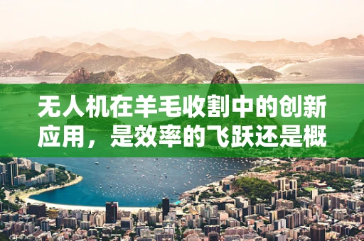 无人机在羊毛收割中的创新应用，是效率的飞跃还是概念的误用？