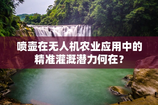喷壶在无人机农业应用中的精准灌溉潜力何在？