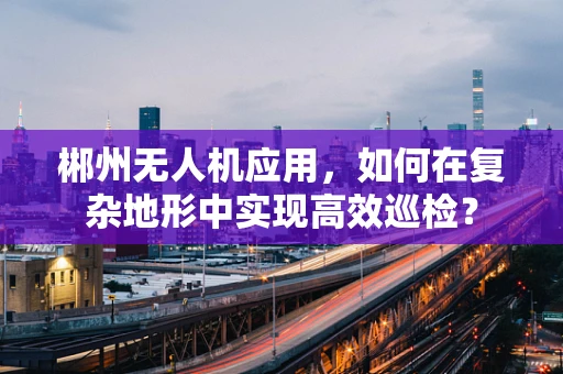 郴州无人机应用，如何在复杂地形中实现高效巡检？