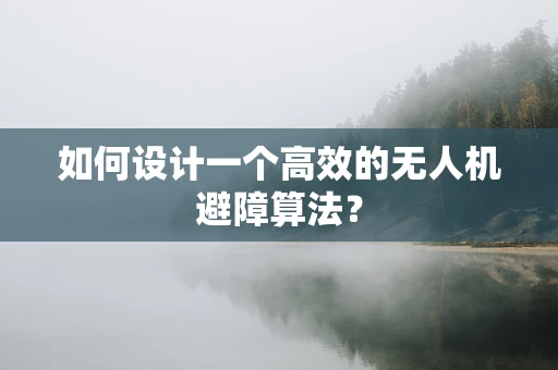 如何设计一个高效的无人机避障算法？