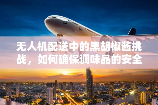 无人机配送中的黑胡椒酱挑战，如何确保调味品的安全与新鲜？