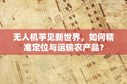 无人机芋见新世界，如何精准定位与运输农产品？