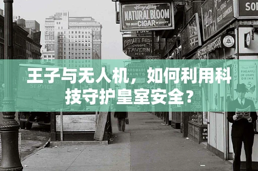王子与无人机，如何利用科技守护皇室安全？