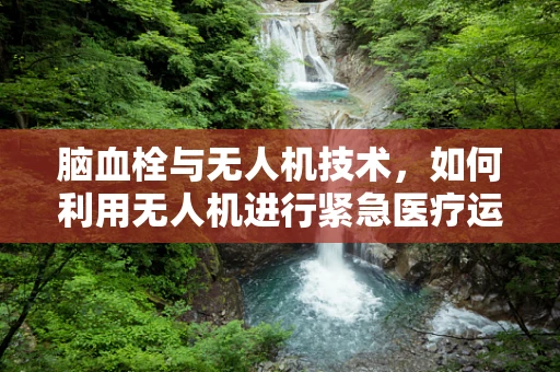 脑血栓与无人机技术，如何利用无人机进行紧急医疗运输？
