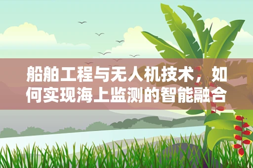 船舶工程与无人机技术，如何实现海上监测的智能融合？