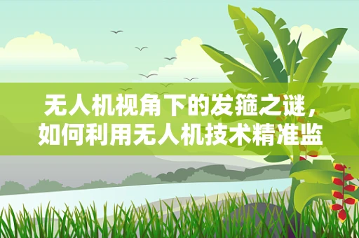 无人机视角下的发箍之谜，如何利用无人机技术精准监测古文物保护？