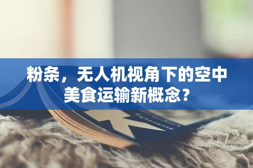 粉条，无人机视角下的空中美食运输新概念？