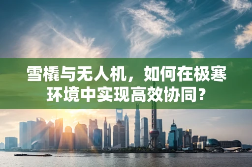 雪橇与无人机，如何在极寒环境中实现高效协同？
