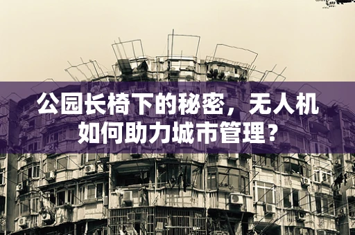 公园长椅下的秘密，无人机如何助力城市管理？