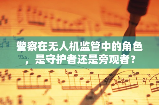 警察在无人机监管中的角色，是守护者还是旁观者？