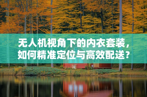 无人机视角下的内衣套装，如何精准定位与高效配送？
