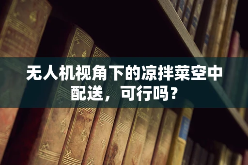 无人机视角下的凉拌菜空中配送，可行吗？