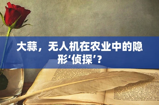 大蒜，无人机在农业中的隐形‘侦探’？