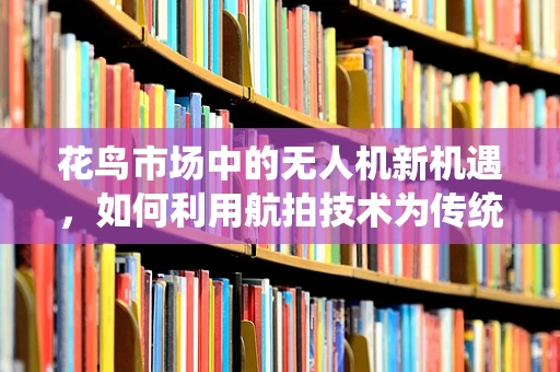 花鸟市场中的无人机新机遇，如何利用航拍技术为传统市场注入科技活力？