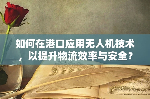 如何在港口应用无人机技术，以提升物流效率与安全？