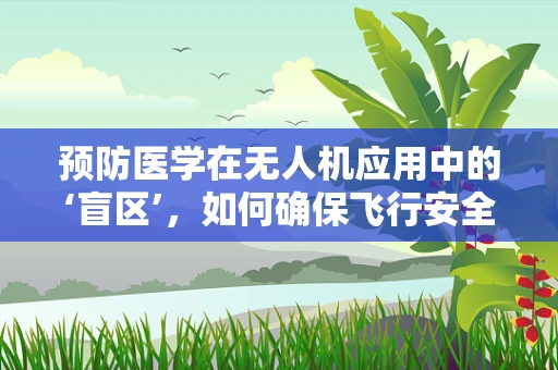 预防医学在无人机应用中的‘盲区’，如何确保飞行安全无虞？