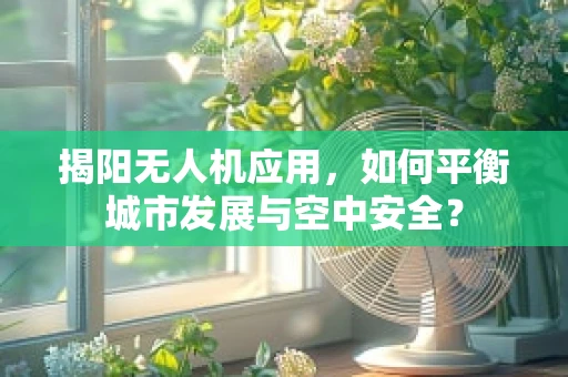 揭阳无人机应用，如何平衡城市发展与空中安全？