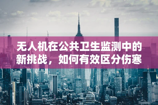 无人机在公共卫生监测中的新挑战，如何有效区分伤寒与副伤寒？