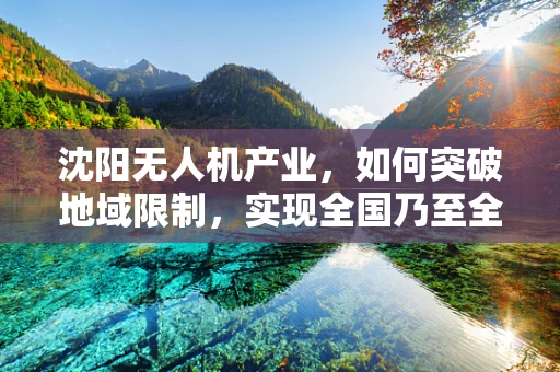 沈阳无人机产业，如何突破地域限制，实现全国乃至全球的飞跃？