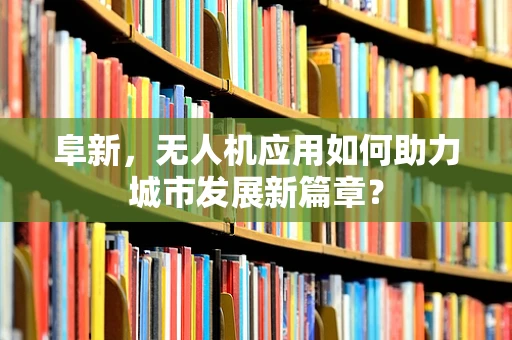 阜新，无人机应用如何助力城市发展新篇章？