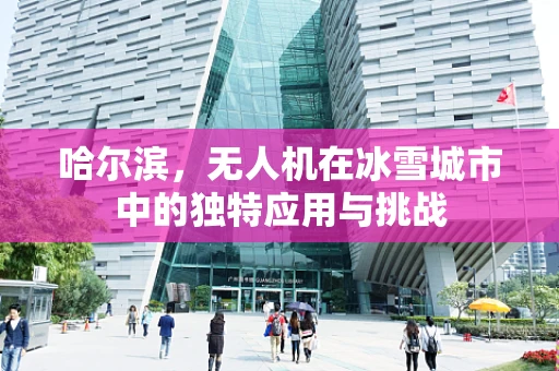 哈尔滨，无人机在冰雪城市中的独特应用与挑战