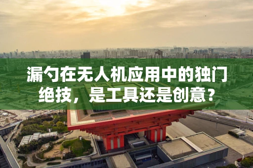 漏勺在无人机应用中的独门绝技，是工具还是创意？