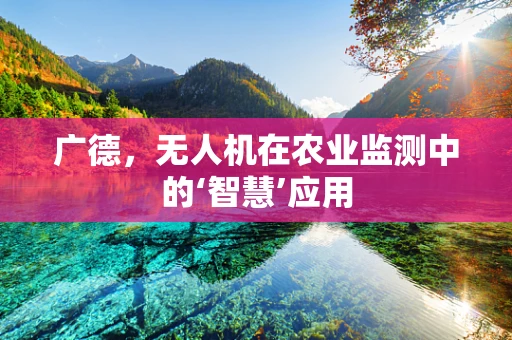 广德，无人机在农业监测中的‘智慧’应用