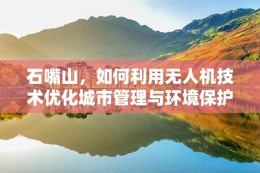 石嘴山，如何利用无人机技术优化城市管理与环境保护？