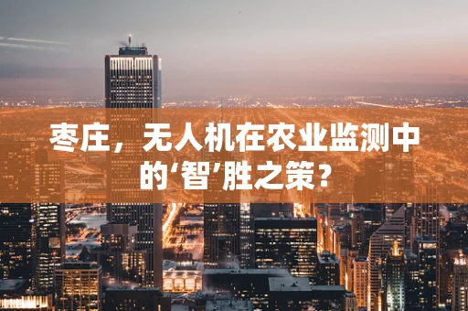 枣庄，无人机在农业监测中的‘智’胜之策？