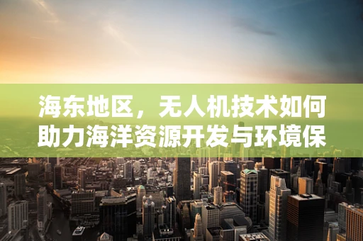 海东地区，无人机技术如何助力海洋资源开发与环境保护的平衡？