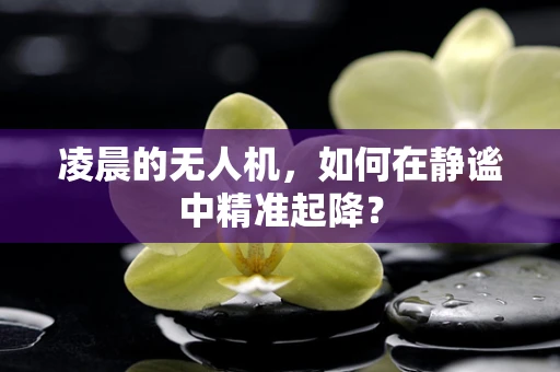 凌晨的无人机，如何在静谧中精准起降？