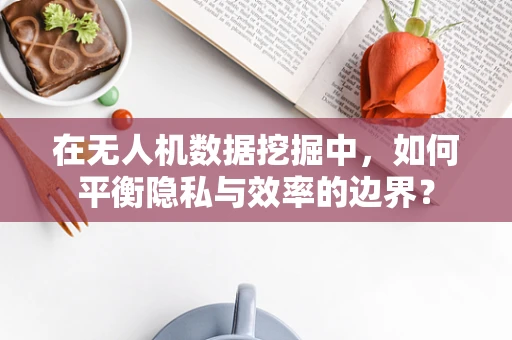 在无人机数据挖掘中，如何平衡隐私与效率的边界？
