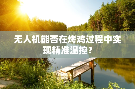 无人机能否在烤鸡过程中实现精准温控？