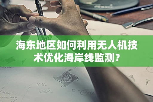 海东地区如何利用无人机技术优化海岸线监测？