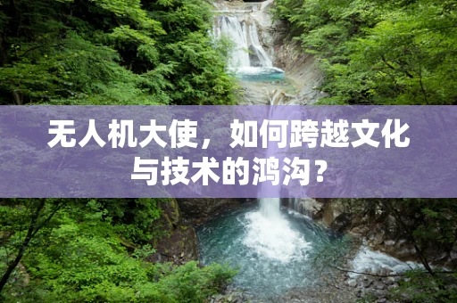 无人机大使，如何跨越文化与技术的鸿沟？
