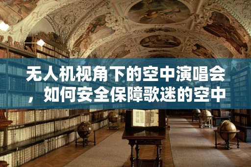 无人机视角下的空中演唱会，如何安全保障歌迷的空中观赏体验？
