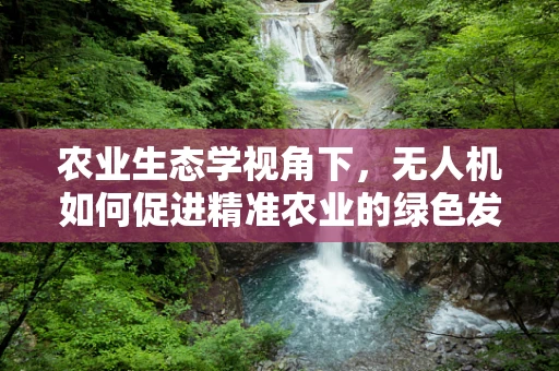 农业生态学视角下，无人机如何促进精准农业的绿色发展？