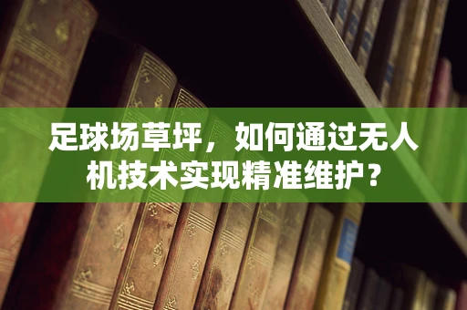 足球场草坪，如何通过无人机技术实现精准维护？