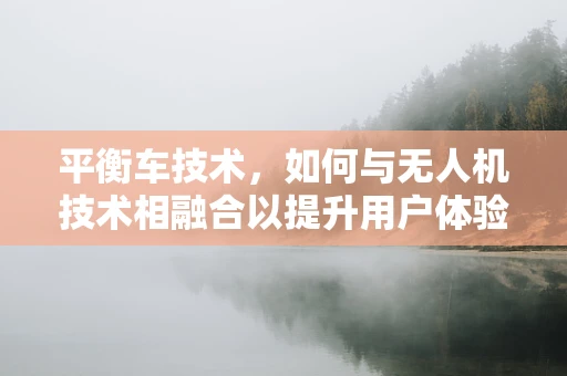 平衡车技术，如何与无人机技术相融合以提升用户体验？