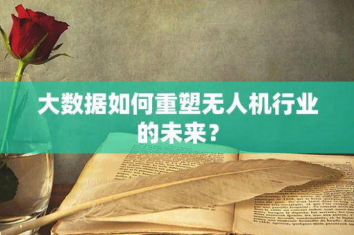 大数据如何重塑无人机行业的未来？