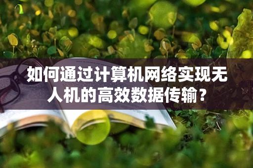 如何通过计算机网络实现无人机的高效数据传输？