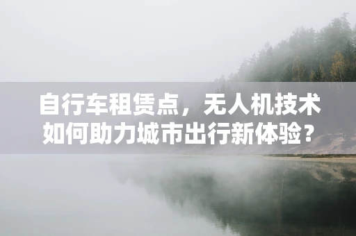 自行车租赁点，无人机技术如何助力城市出行新体验？