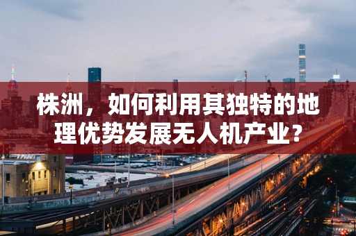 株洲，如何利用其独特的地理优势发展无人机产业？