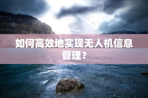 如何高效地实现无人机信息管理？