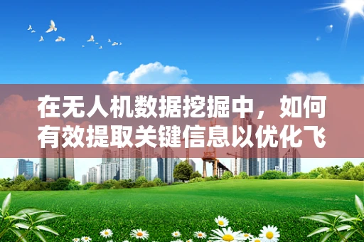 在无人机数据挖掘中，如何有效提取关键信息以优化飞行决策？