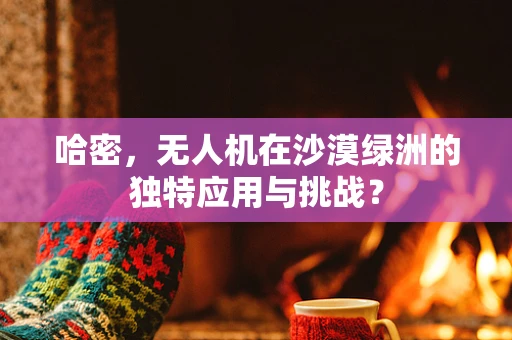 哈密，无人机在沙漠绿洲的独特应用与挑战？