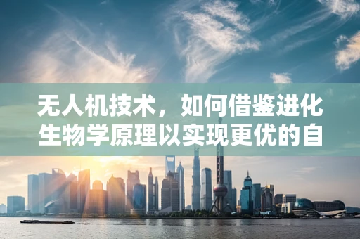 无人机技术，如何借鉴进化生物学原理以实现更优的自主导航？