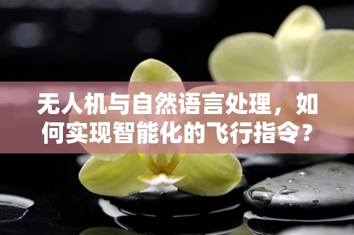 无人机与自然语言处理，如何实现智能化的飞行指令？